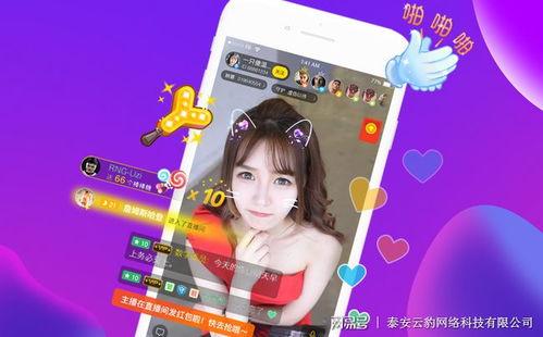 直播网红甜菜的爆料视频,网红幕后故事大曝光