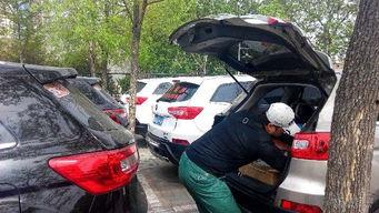 318吃瓜娱乐车友会,畅游车界，共享欢乐时光  第1张