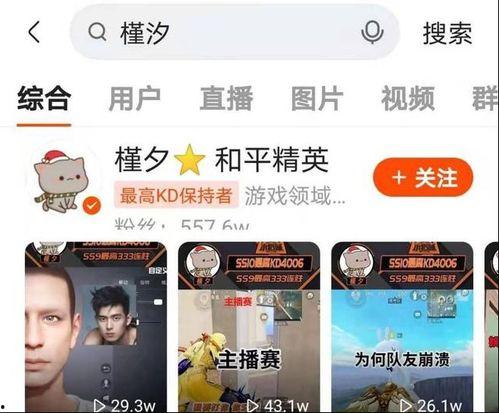 最新手册皮肤爆料怎么弄,玩法与视觉革新一览  第2张